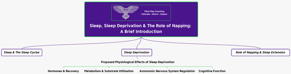 Sleep, Sleep Deprivation & The Role of Napping: A Brief Introduction